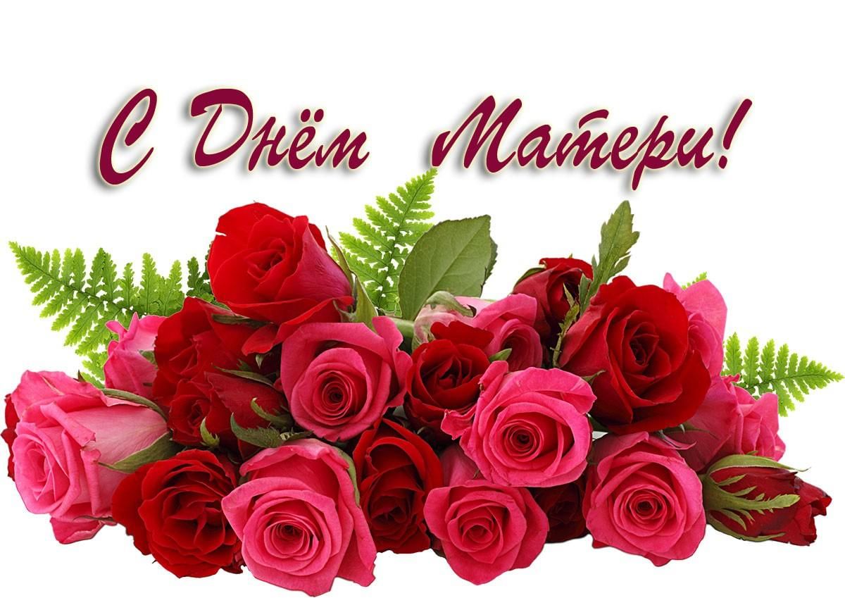 24 ноября.